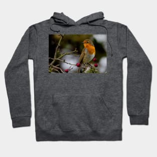 Robin Redbreast Hoodie